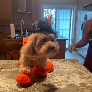 Meet your Posher, Cathy